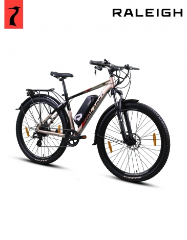 raleigh electric skarn multispeed bike